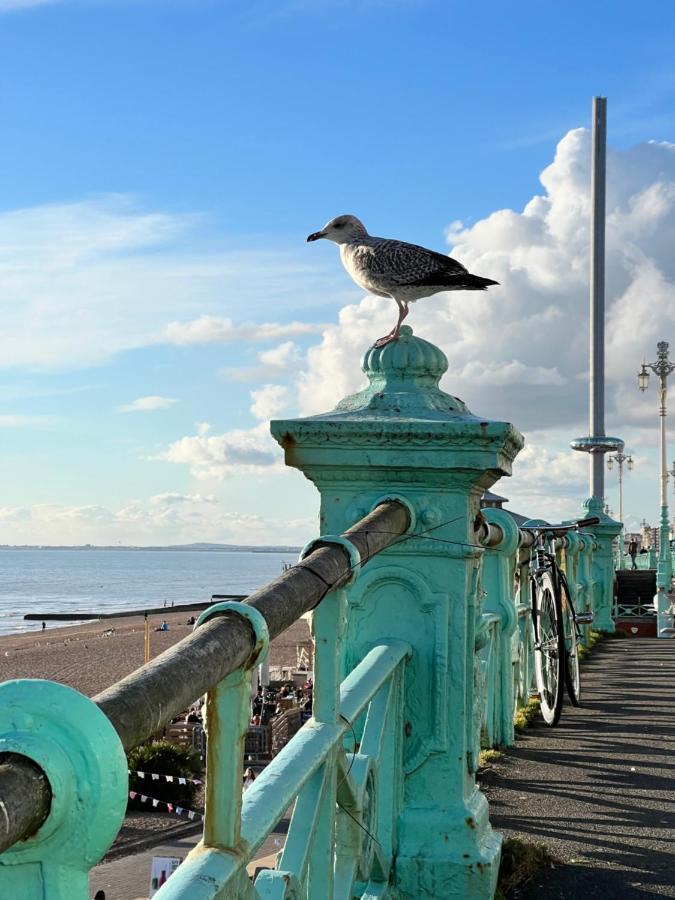 Charming Cottage & Garden - Central Brighton! Екстер'єр фото
